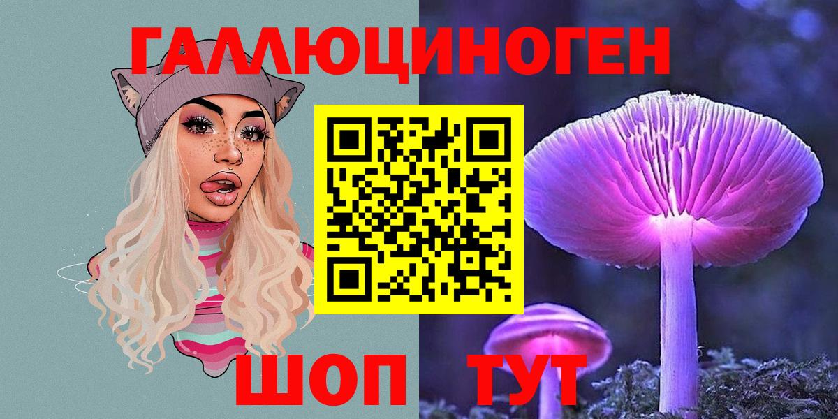 Чебаркуль  Псилоцибиновые грибы Psilocybe  Вход с VPN  Галлюциногенные грибы GOLDEN TEACHER 